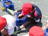 IMG_2661.JPG