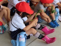 IMG_2664.JPG