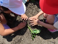 IMG_2684.JPG