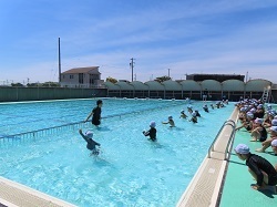 IMG_2806.JPG