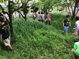 IMG_3127.jpg