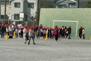 IMG_3133.jpg