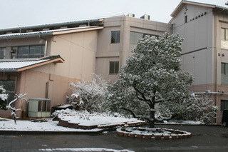 IMG_3807.JPG