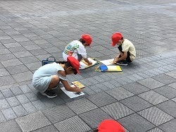 IMG_3914.jpg