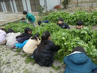 P1080014.JPG