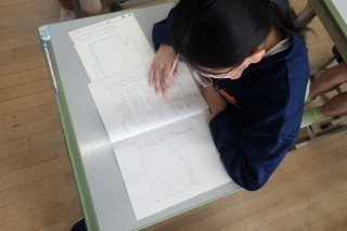 P4188893.jpg