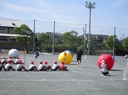 2.JPG