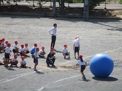 4.JPG