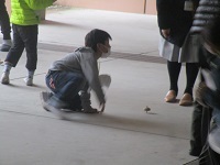 IMG_6365.JPG
