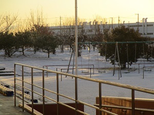 IMG_6401.JPG
